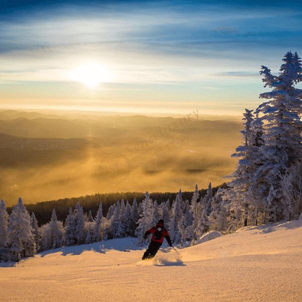 三,松雞山(grouse mountain)