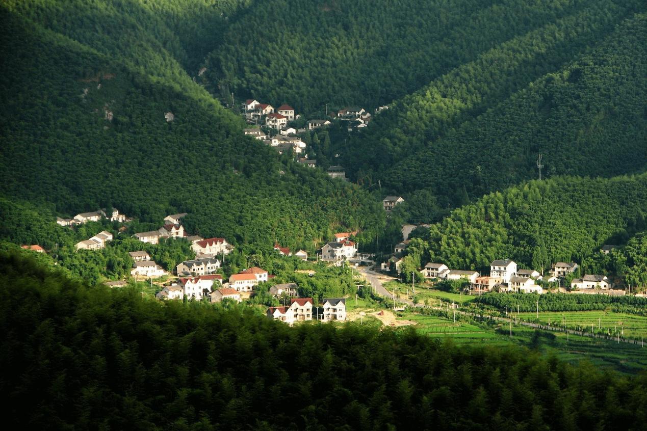 来莫干山旅游，一年四季中什么时候最合适？