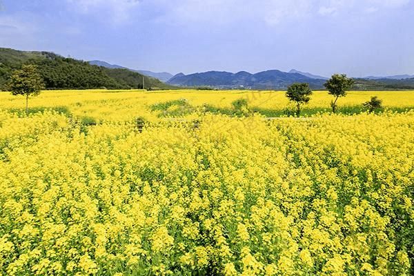 莫干山最佳出游时间