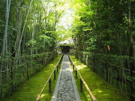 去京都旅游一般会花多少钱合适 第六感度假