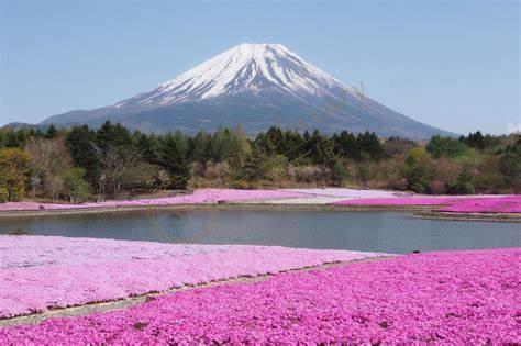 去富士山旅游 一年当中最佳时间是哪个月份 第六感度假