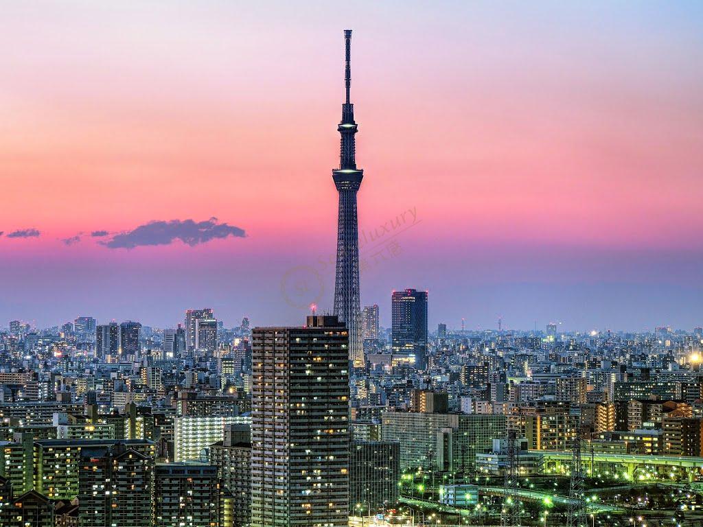 东京都东京晴空塔图片