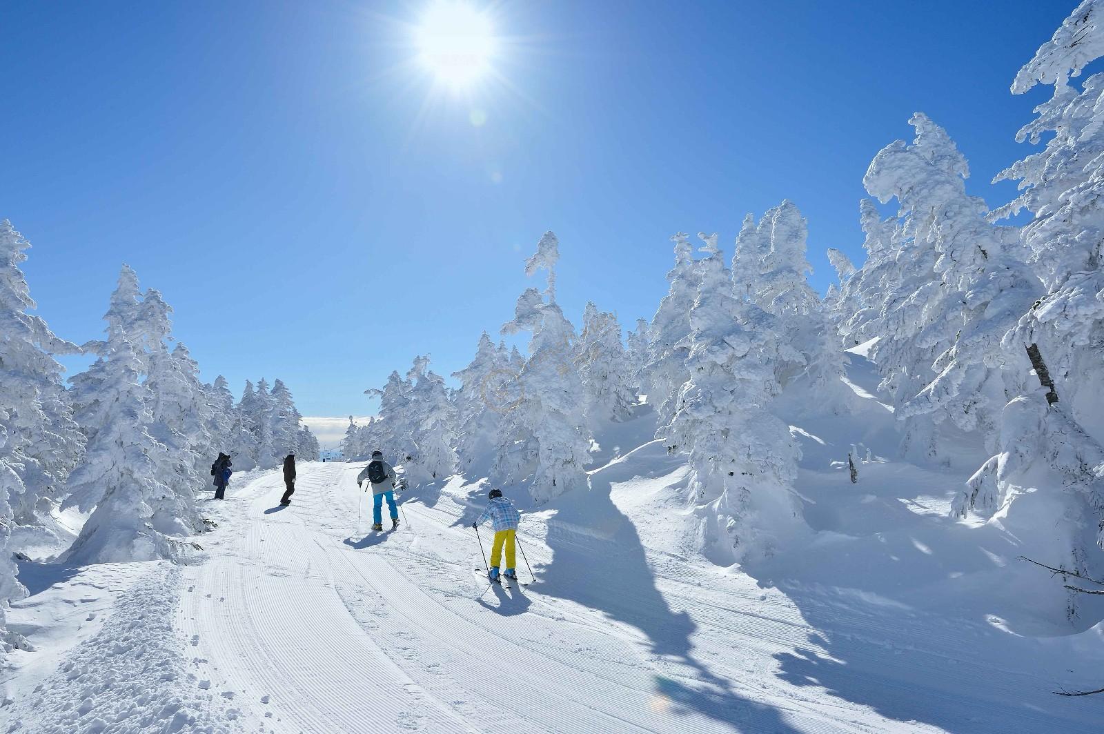 长野志贺高原滑雪场