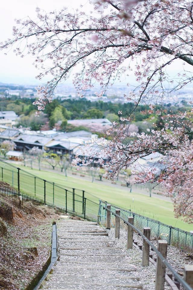 日本奈良自由行笔记，一个最适合慢慢闲逛的地方