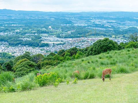 若草山