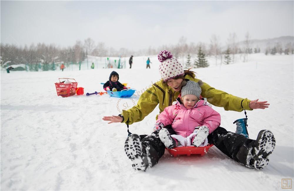 北海道滑雪