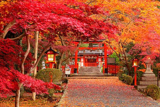 大原野神社