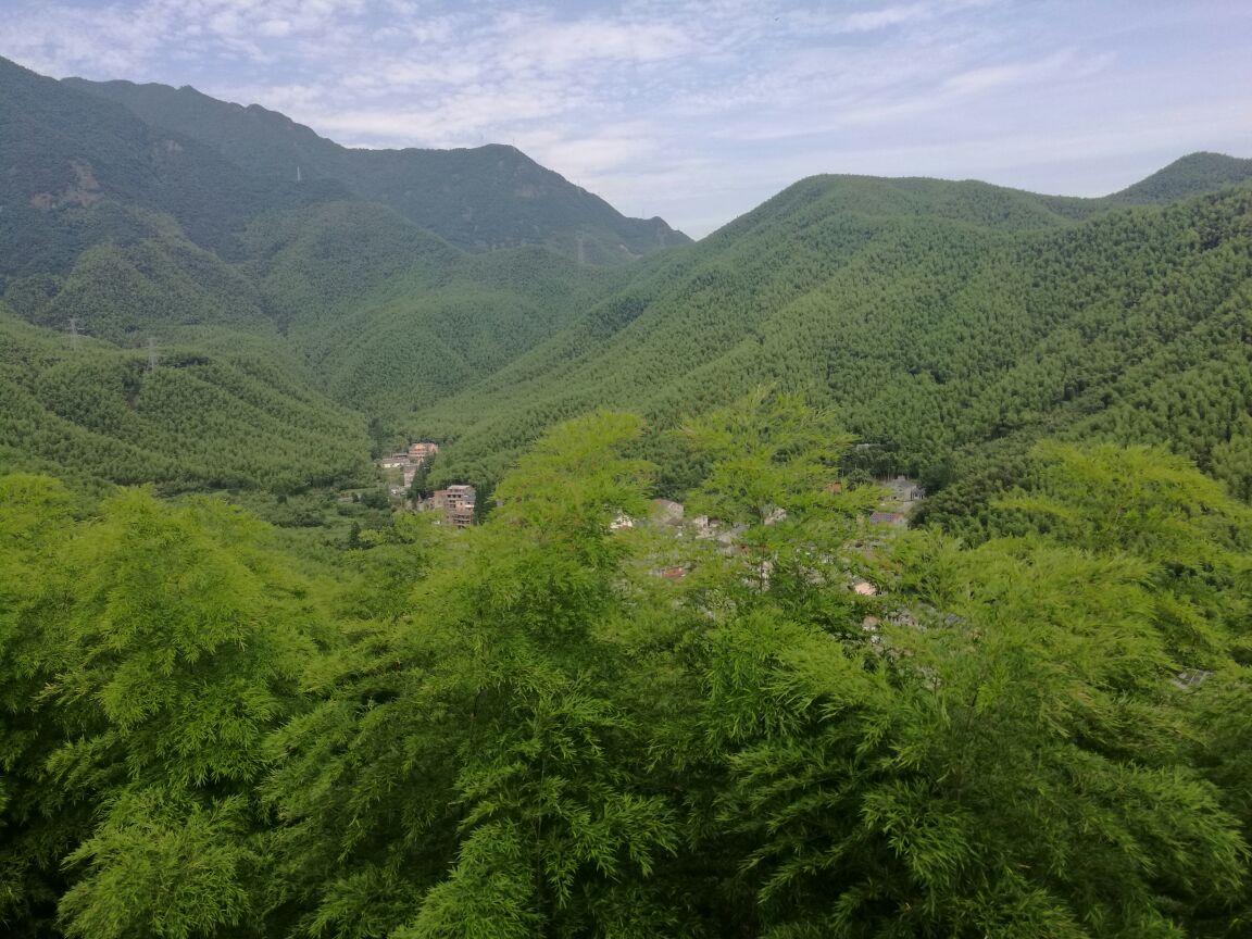 大竹海景区