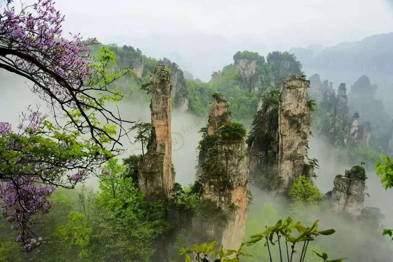 张家界什么季节去最好玩(张家界旅游几月份去最好) - 联途