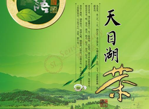 天目湖茶叶