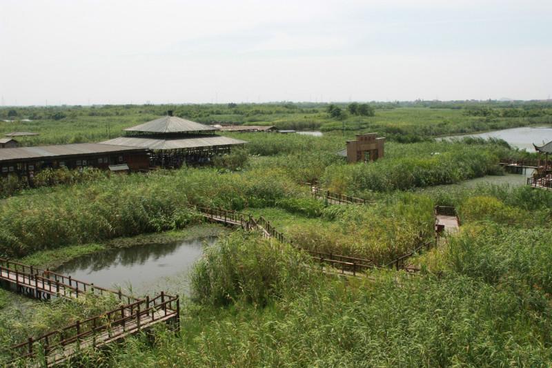 下渚湖湿地公园