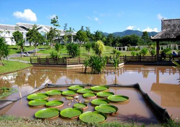 中国科学院西双版纳热带植物园