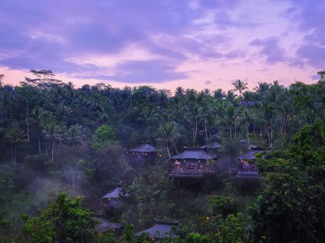 巴厘岛雨林帐篷
