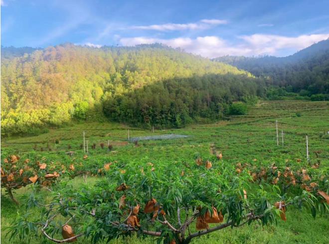 茶马道桃花谷丽世山居