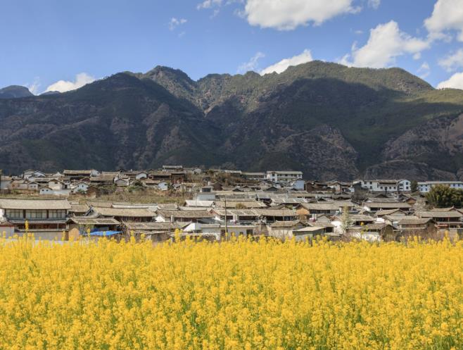 茶马道三股水丽世山居