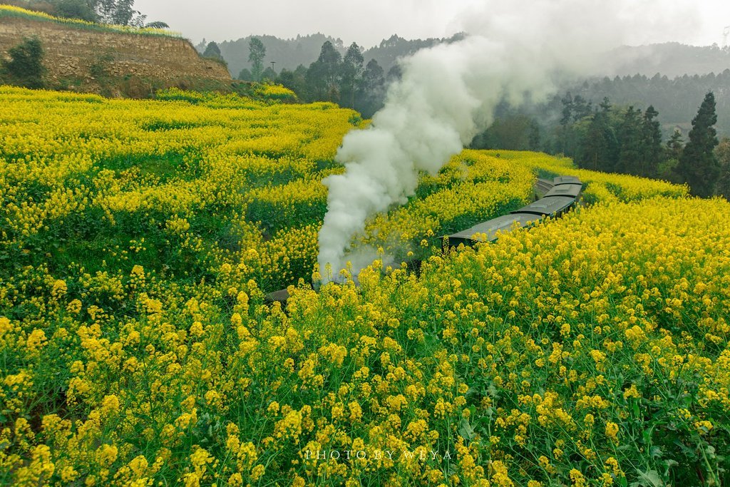 石象湖