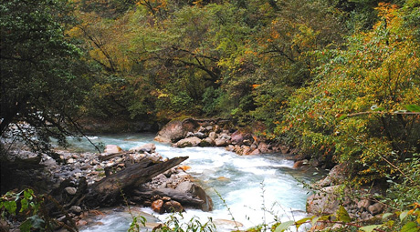 东拉山大峡谷