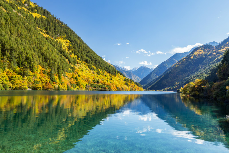 国庆九寨沟旅游攻略，欣赏金灿灿的风景