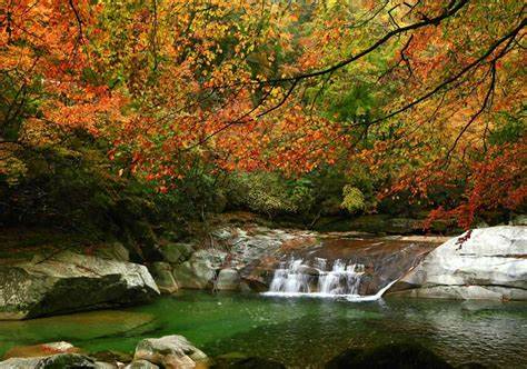 四川光雾山