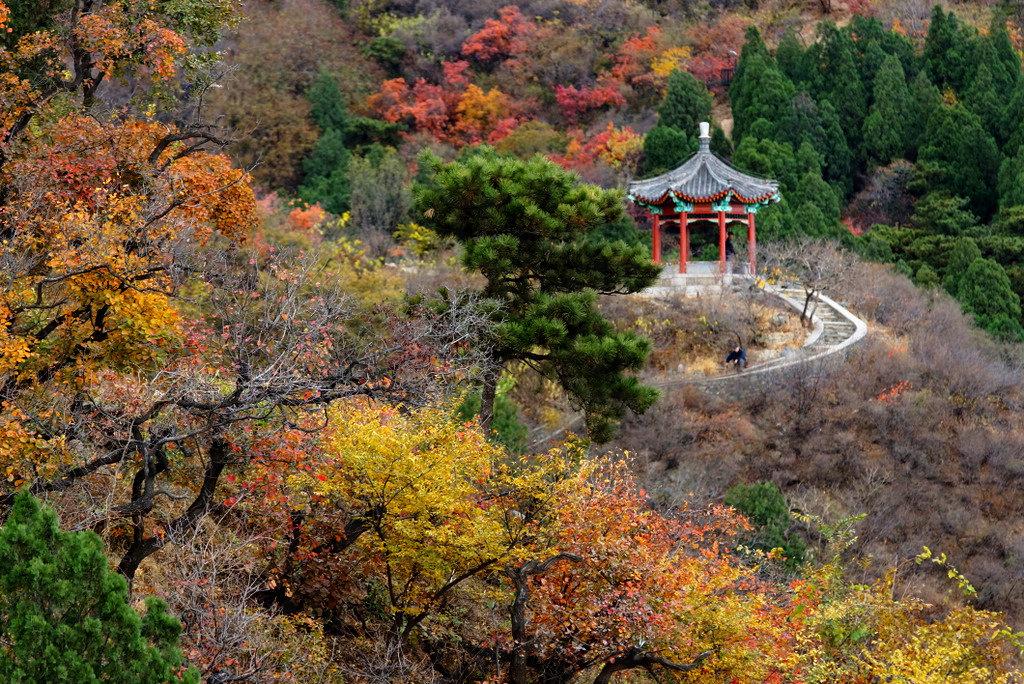 北京香山