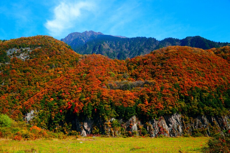 孟屯河谷红叶