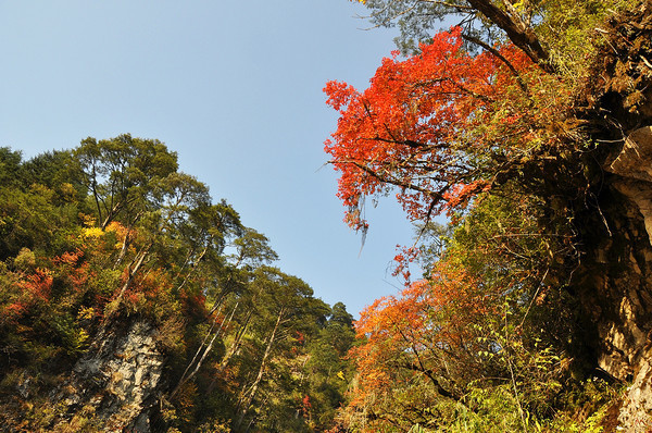 木格措