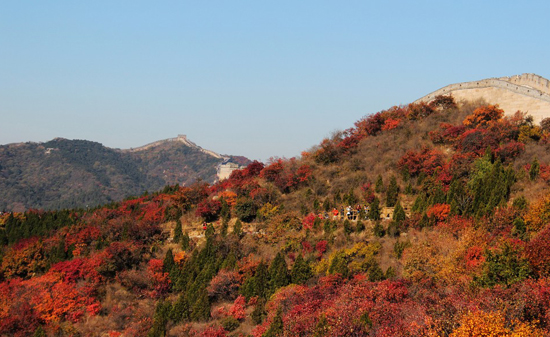 八达岭红叶岭