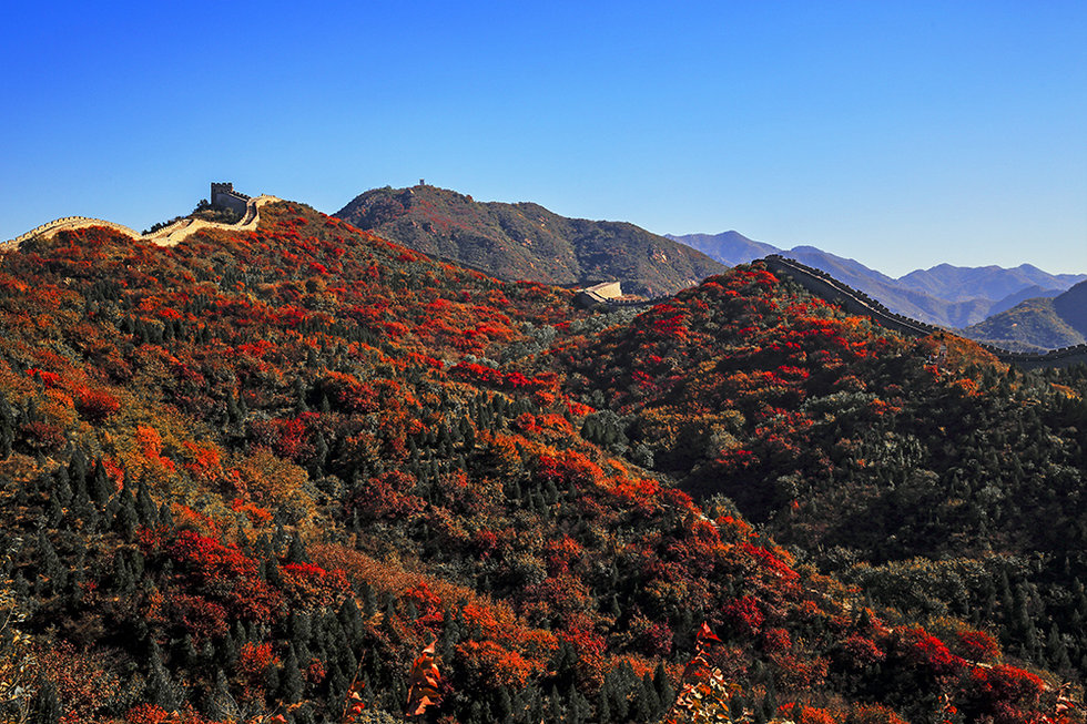 八达岭红叶岭