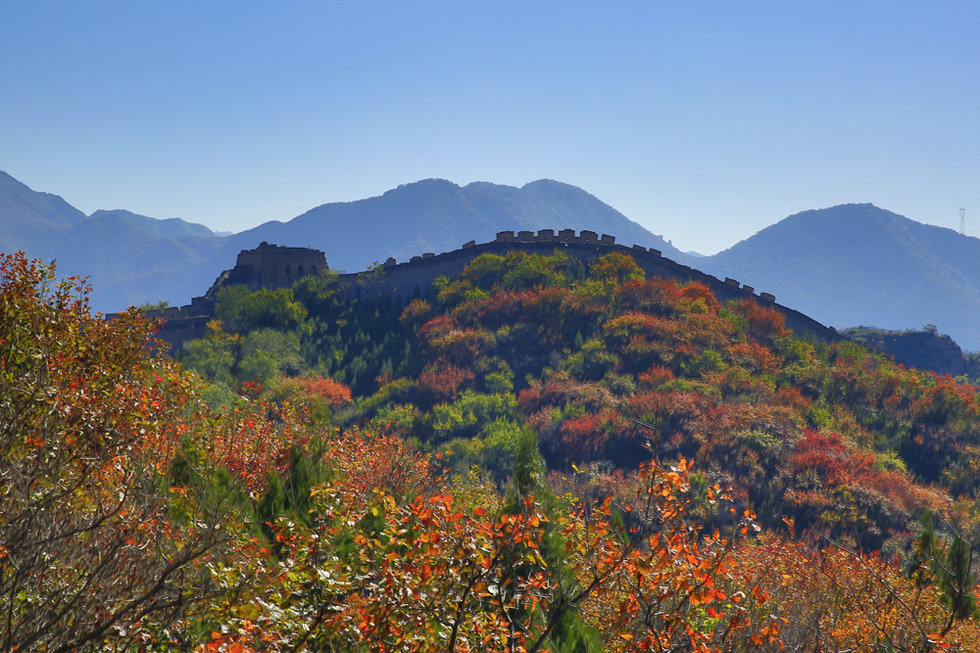 八达岭红叶岭