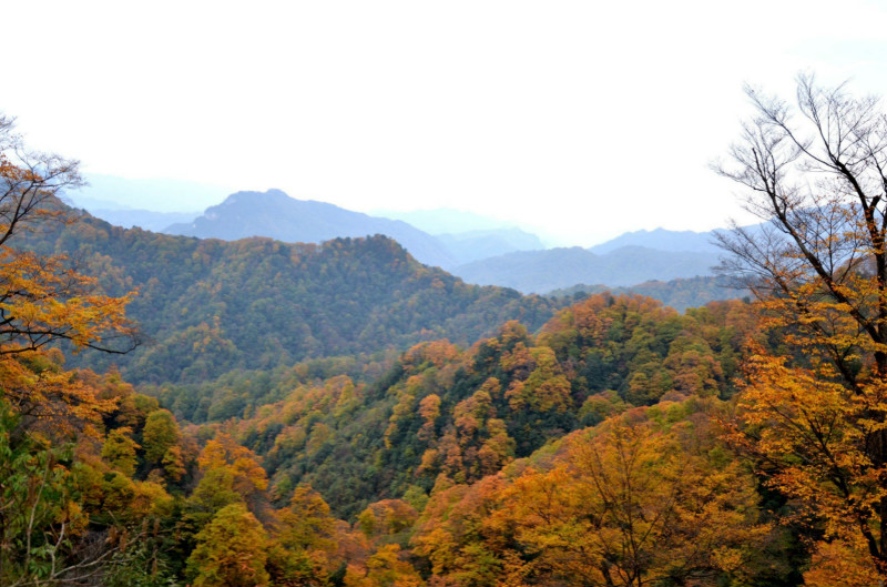 去四川光霧山賞紅葉的最佳時節是什麼時候?