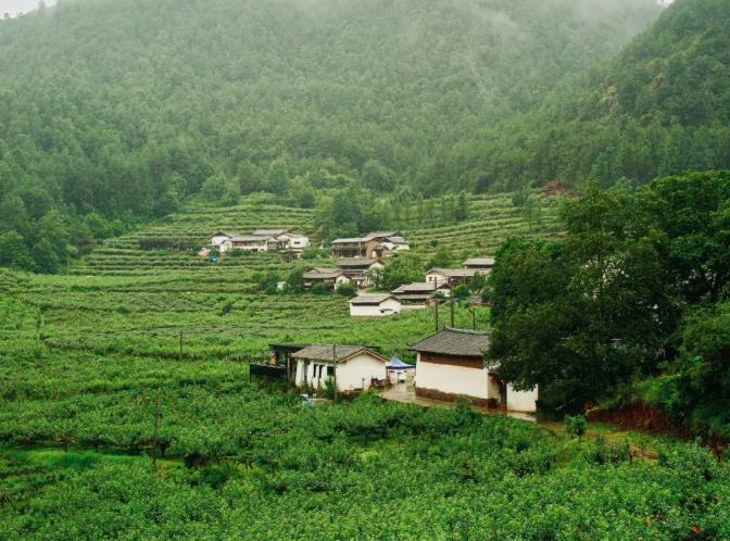 丽世茶马道酒店