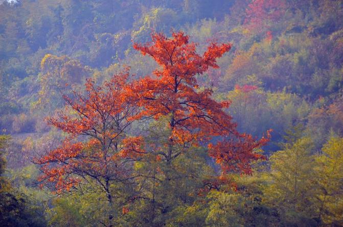 美岕山野温泉度假村