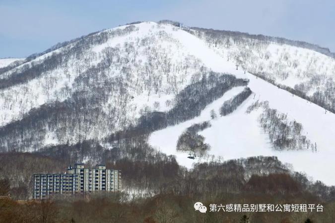 北海道新雪谷塔度假酒店