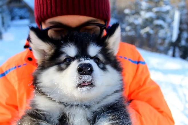 体味不一样的长白山の林海雪原 第六感度假