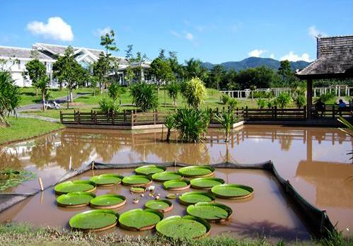 中国科学院西双版纳热带植物园