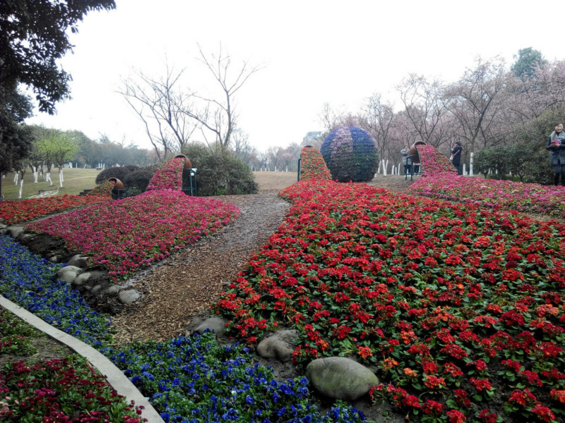 植物园怎么走(植物园步行路线)