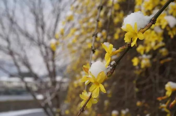 杭州富春山居