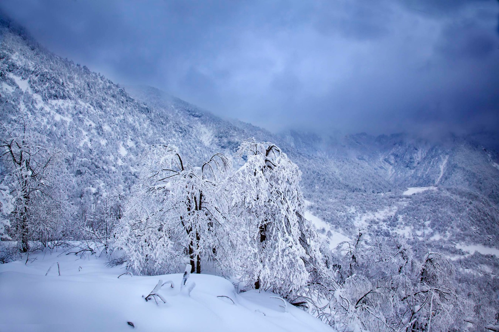 西岭雪山冬天图片