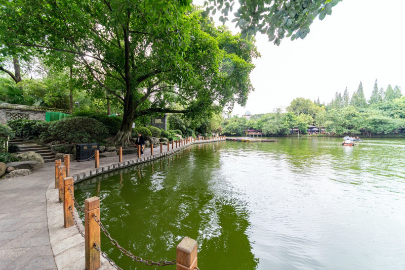 成都人民公園旅遊攻略今年春遊好去處