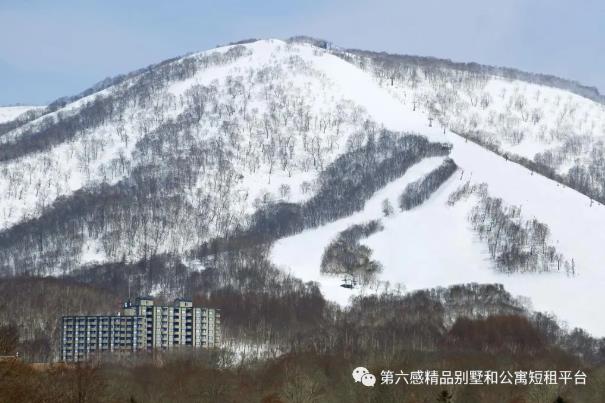 北海道新雪谷塔度假酒店