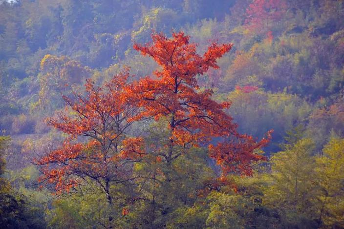 溧阳美岕山野温泉度假村