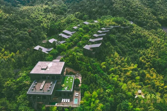 隐居溧阳山野，竟藏着一条萤火虫之路！