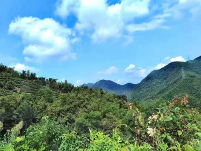 莫干山悠然九希，感受不加修饰的乡野之味