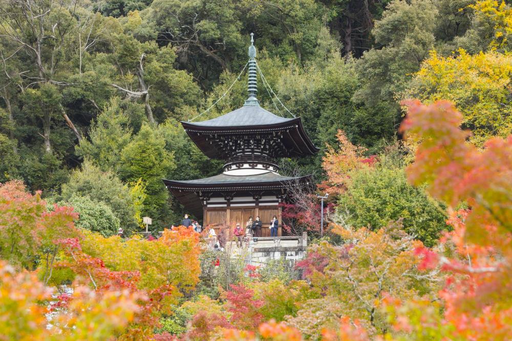 日本