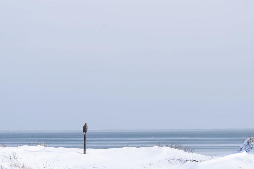 北海道