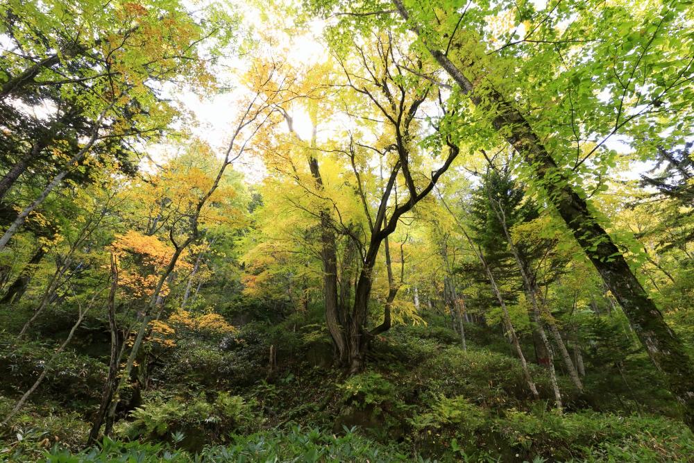 北海道