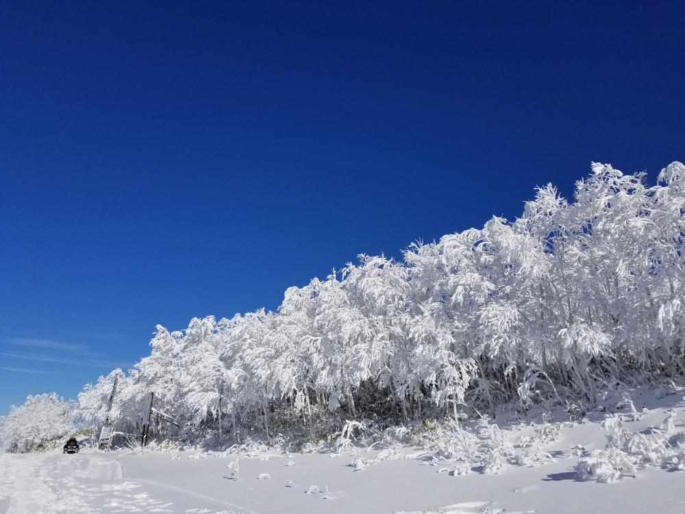 北海道