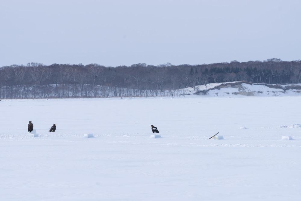 北海道