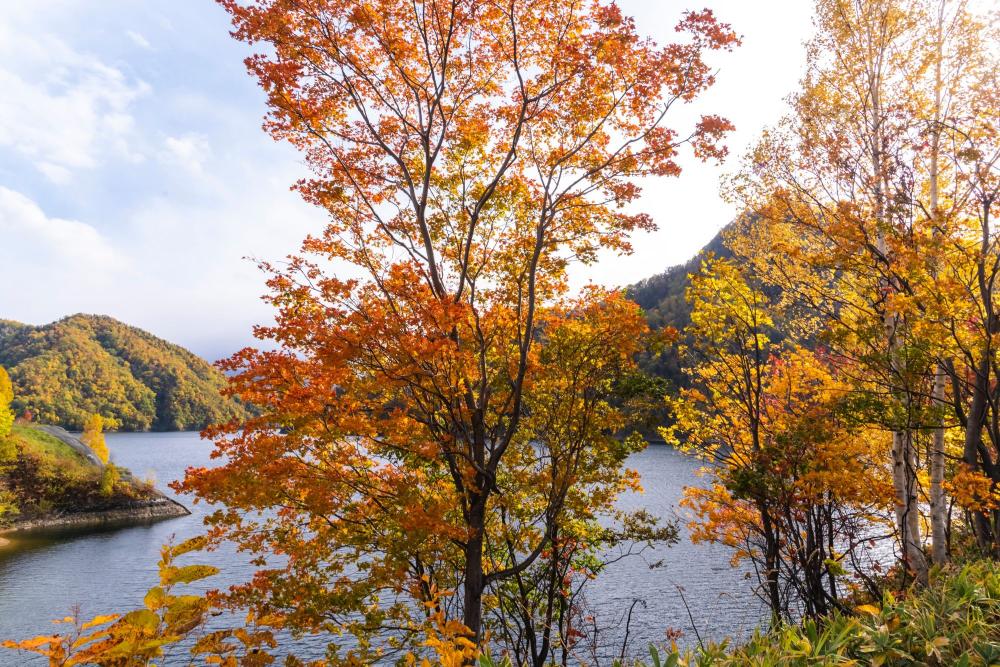 北海道