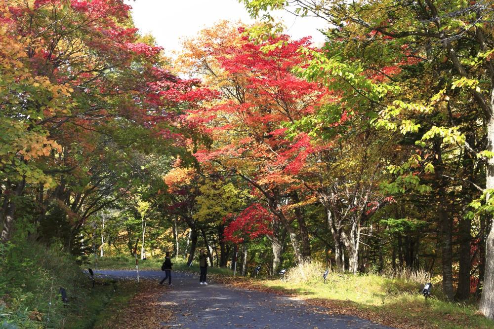 北海道